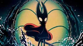 Une extension pour "Hollow Knight: Silksong"