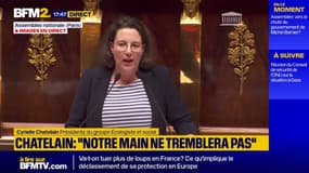 Motion de censure: "notre main ne tremblera pas au moment de voter" déclare Cyrielle Chatelain (Écologiste)