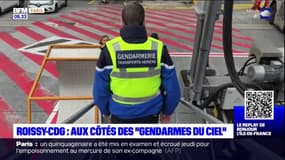 Aéroport Paris-Charles de Gaulle: dans le quotidien des "gendarmes du ciel"