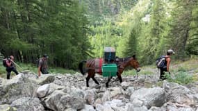 L'association Equi'Grimpe a ravitaillé le refuge avec des mules du Pré de la Chaumette à Champoléon (Hautes-Alpes) le 16 août 2024.