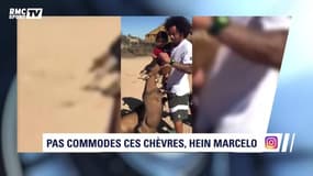 L'actu Sport.Net du 9 octobre 2017