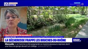 Bouches-du-Rhône: "Une sécheresse préoccupante mais pas exceptionnelle " pour Cécile Guyon climatologue chez Météo France