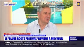 Le Blues Roots Festival revient le 7 septembre à Meyreuil