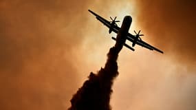 Un Canadair largue de l'eau sur les flammes qui ravagent le département de l'Aude, le 6 août 2025