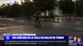 Orages: un arbre effondré en plein centre-ville de Dijon