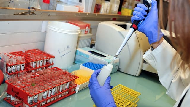 Valbiotis, société spécialisée dans les solutions nutritionnelles innovantes, entre en Bourse