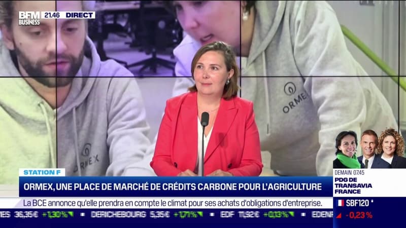 Ormex : place de marché de crédits carbone pour l'agriculture