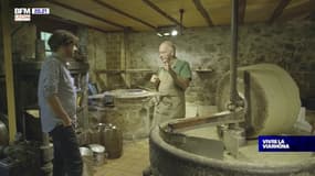 VIVRE LA VIARHÔNA : Le Marais de Lavours et le Moulin de Chanaz