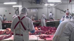 Une usine de production de viande, en France.