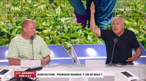 Agriculture : pourquoi manque-t-on de bras ? - 02/06