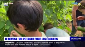 Le Revest: les écoliers ont droit à leur propre potager