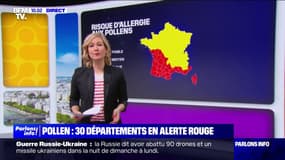 Pollens: 30 départements du sud en alerte rouge