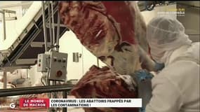 Coronavirus: pourquoi de nombreux nouveaux cas sont détectés dans les abattoirs ?