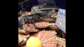  Entre la fermeture des frontières du Royaume-Uni et le Brexit, les acteurs de la pêche alertent sur de possibles pénuries de crustacés  