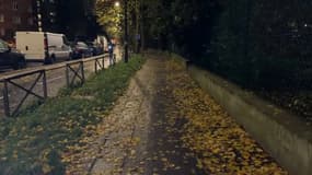 Les feuilles agacent les cyclistes.