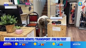 Oullins-Pierre-Bénite: fin de l'expérimentation de la voie à sens unique dans la grande rue d'Oullins