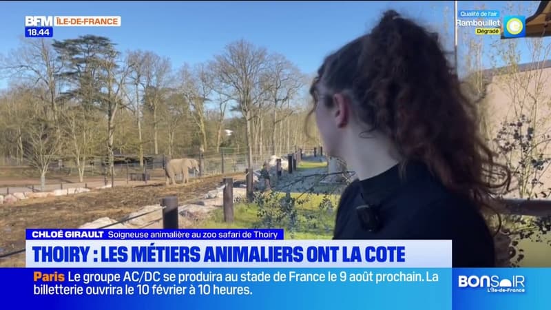 Zoo de Thoiry: une journée découverte pour initier aux métiers animaliers