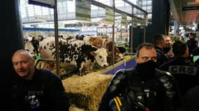 Des CRS devant un stand lors du 60e salon de l'agriculture, le 24 frévrier 2024 à Paris 