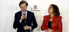 Report loi Travail: LR constate une "implosion en direct de la majorité"