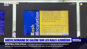 Alpes-Maritimes: une semaine de galère pour les usagers du rail en raison d'une grève à la SNCF