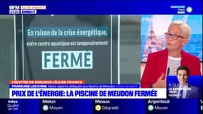 "C'est inenvisageable": l'entrée de la piscine de Meudon devrait tripler pour qu'elle puisse rouvrir 