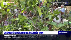 Solliès-Pont: 26e fête de la figue