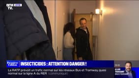 Insecticides : attention danger ! - 09/03