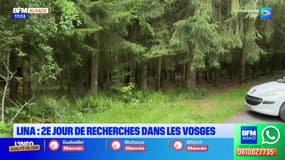 Disparition de Lina: une deuxième journée de recherches organisée dans les Vosges