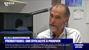 Probiotiques: une efficacité à prouver - 21/11