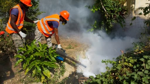 Opération de fumigation contre les moustiques du genre Aedes aegypti ou Aedes albopictus (moustique tigre), vecteur de propagation du virus Zika, le 23 janvier 2016 à Saint Domingue