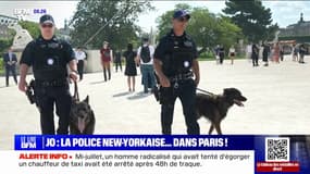 Polices étrangères aux JO: deux brigades cynophiles de New-York renforcent le dispositif de sécurité à Paris