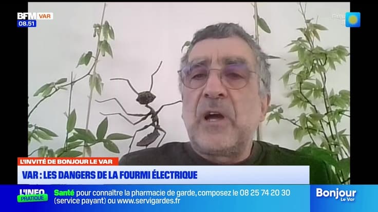 L'invité de Bonjour Var du jeudi 29 janvier 2026 - Luc Gomel