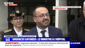 Expérimentation du cannabis thérapeutique: "Il faut étudier cette voie", indique Yannick Neuder