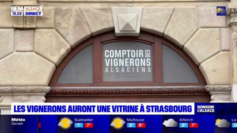 Alsace: les vignerons auront une vitrine à Strasbourg