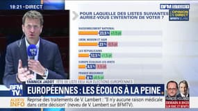 Yannick Jadot: "Il n'y a qu'un seul vote efficace dimanche, c'est le vote Europe Écologie"