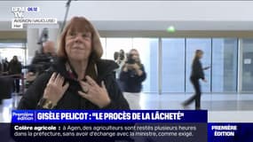 "Le procès de la lâcheté": la dernière déclaration de Gisèle Pelicot au procès de Mazan