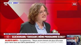 Marie Toussaint, tête de liste Les Écologistes, estime que la différence entre son programme et celui de Raphaël Glucksmann, c'est "la constance, la cohérence et la clarté"