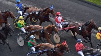 Les pronos hippiques du vendredi 29 décembre 2023