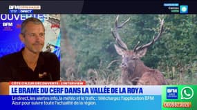 Côte d'Azur Découvertes du jeudi 3 octobre - Le brame du cerf dans la vallée de la Roya
