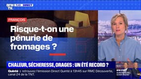 Fortes chaleurs: risque-t-on une pénurie de fromages? BFMTV répond à vos questions