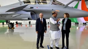 Les livraisons d'avions de combat Rafale de Dassault Aviation, à destination de trois pays (Egypte, Inde, Qatar) ont représenté près d'un quart des exportations d'armes totales de l'hexagone.