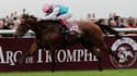 Enable a remporté à deux reprises le Qatar Prix de l'Arc de Triompe