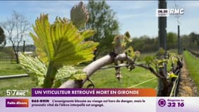 Un viticulteur retrouvé mort en Gironde