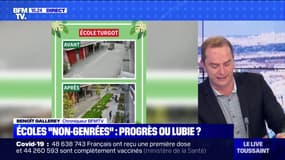Écoles "non-genrées": progrès ou lubie ? 