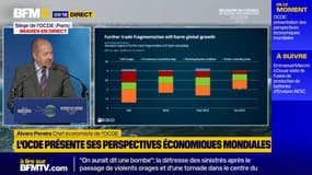 "L'impact général pour le monde sera de 1% de croissance en moins": le chef économiste de l'OCDE alerte sur les surtaxes douanières imposées par Donald Trump 