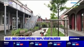Lille: des cours d'école bientôt 100% végétalisées