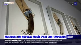 Mulhouse: un nouveau musée d'art contemporain