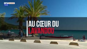 Au Cœur du Lavandou