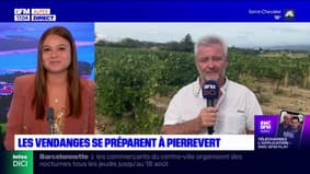 Alpes-de-Haute-Provence: les vendanges se préparent à Pierrevert