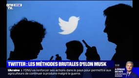 Ces employés de Twitter racontent comment ils ont appris leur licenciement